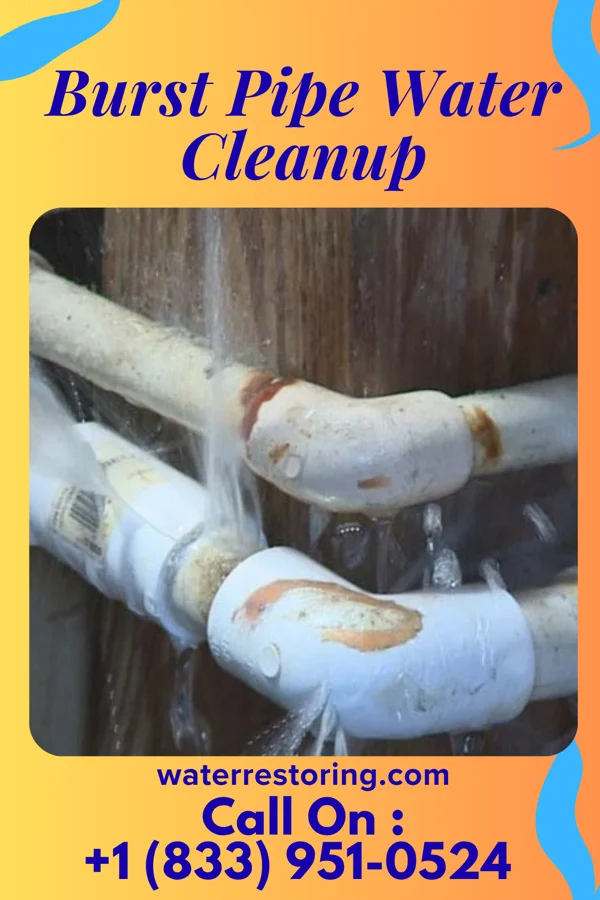 Burst Pipe Water Cleanup in Peterstown, WV
