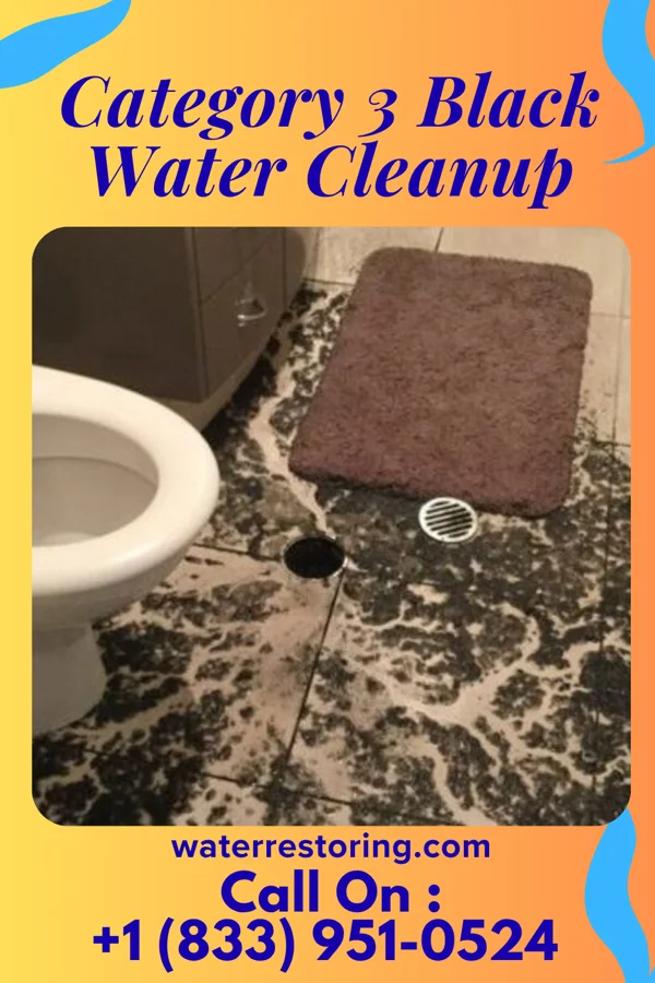 Category 3 Black Water Cleanup in Peterstown, WV