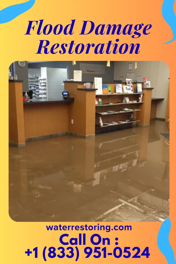 Flood Damage Restoration in Peterstown, WV