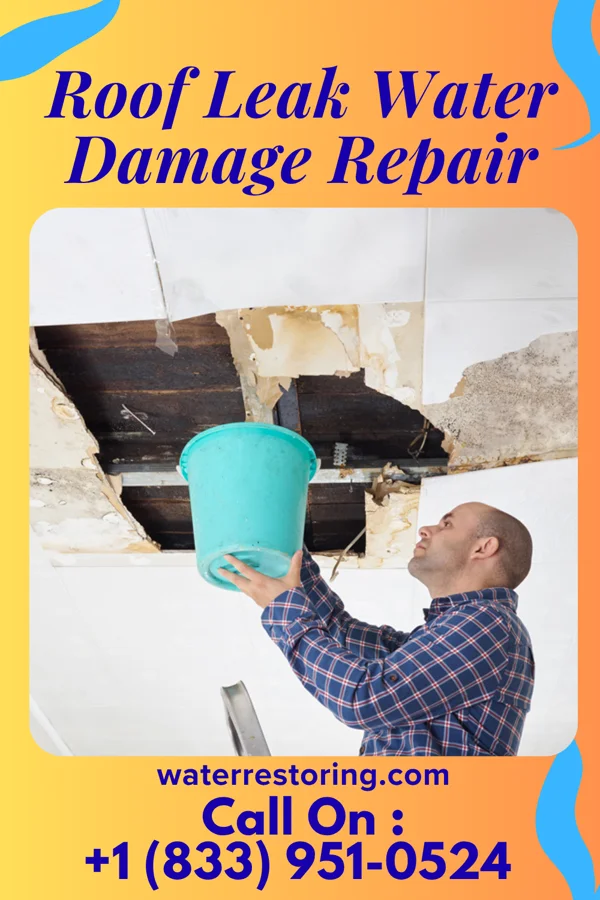 Roof Leak Water Damage Repair in Peterstown, WV