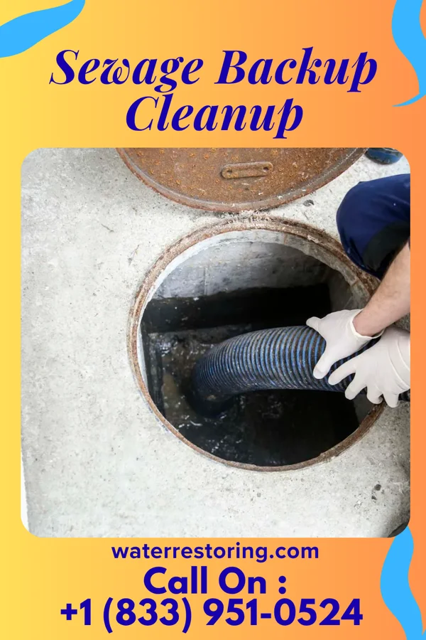 Sewage Backup Cleanup in Peterstown, WV