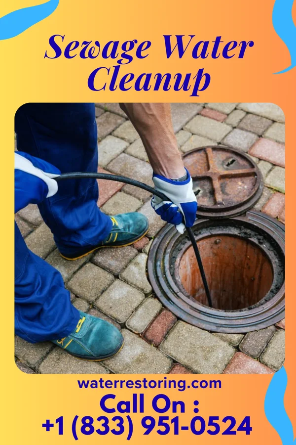 Sewage Water Cleanup in Peterstown, WV